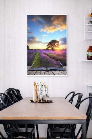 Sunplus Color lavanda [1]