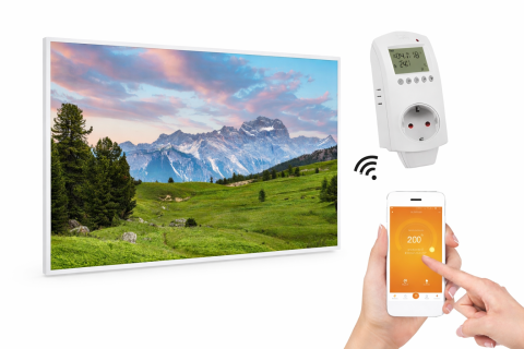 Oferte si reduceri - Sunplus Color macii