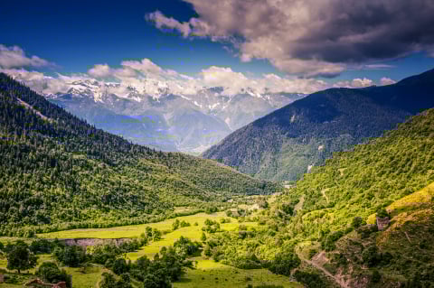 Panouri radiante COLOR - Sunplus Color Camp mov