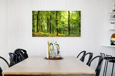 Sunplus Color padurea 2 [1]