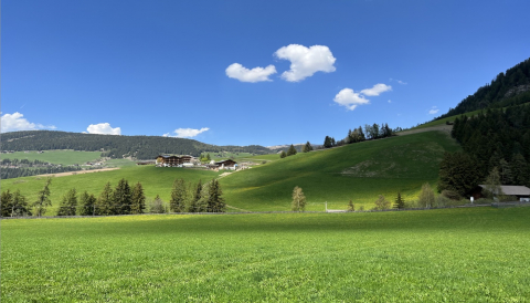 Panouri radiante COLOR - Sunplus Color Deal