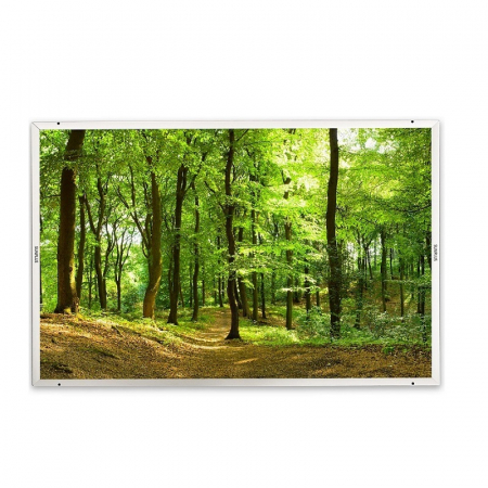Panouri radiante COLOR - Sunplus Color padurea 2