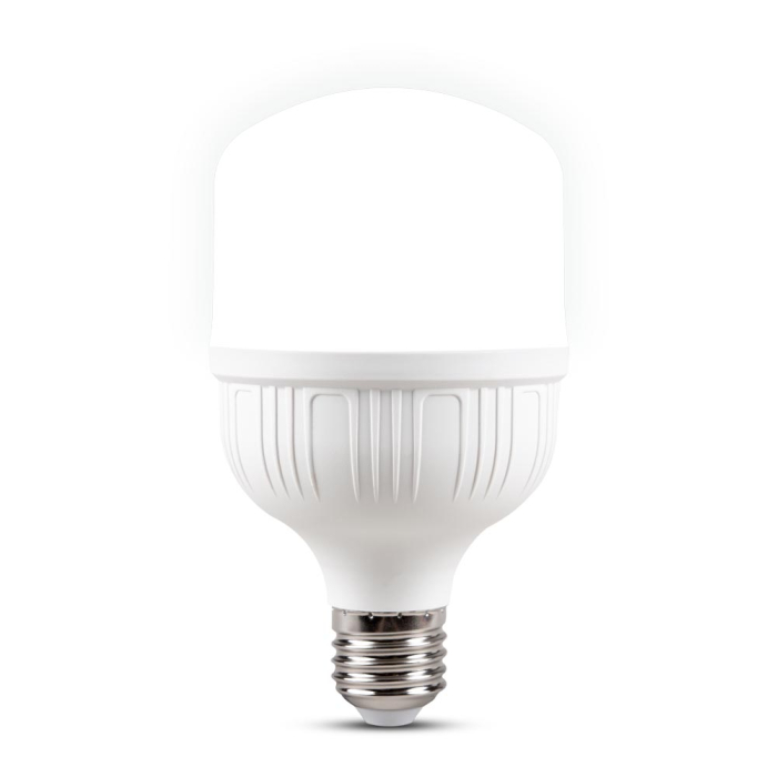 Bec LED 30W cu dulie E27 si lumina rece 6500K [2]