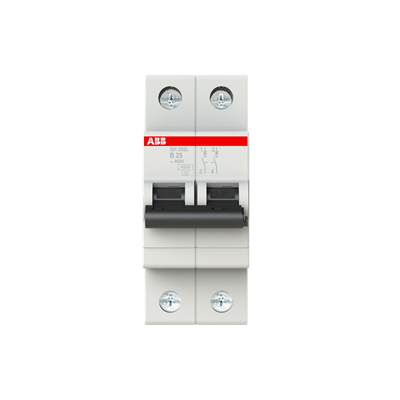 Intrerupator automat bipolar 25 A curba B 4.5 kA [2]