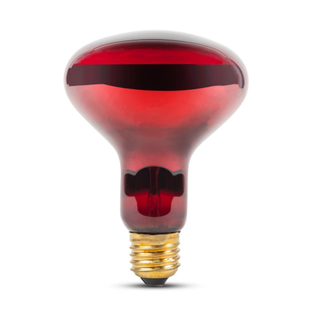 Surse de iluminat - Bec infrarosu R95 rosu de 100 W cu dulie E27