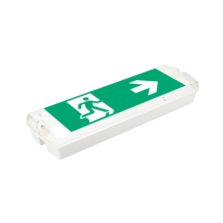 Emergenta - Corp de iluminat de urgenta LED EXIT IP65 pentru montaj pe perete sau plafon