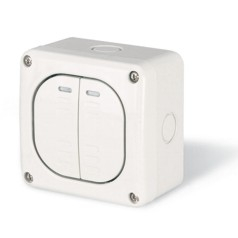 Aparataj - Intrerupator dublu aplicat IP66 pentru comanda a doua circuite electrice