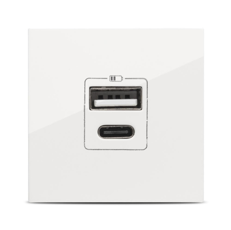 Priza USB alba cu port USB A si port USB C pentru montaj incastrat 2 module [0]