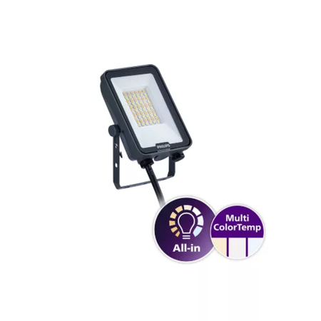 Proiector LED 30W 3CCT IP65 gri pentru iluminat exterior [0]