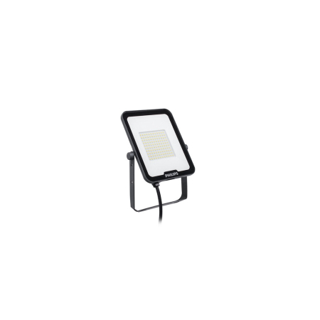 Proiector LED gri 50W 6000 lm IP65 cu suport reglabil [1]