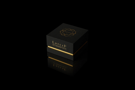 Kaloud Lotus 1+, model Original, Gri [1]