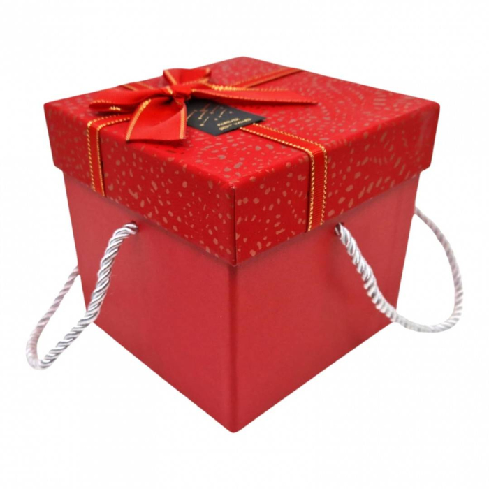Cutie cadou patrata, cu fundita si snur, 13x13x12.5 cm, rosu [4]