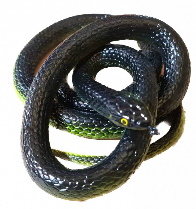 jucarie elastica, sarpe din cauciuc, 110 cm [3]