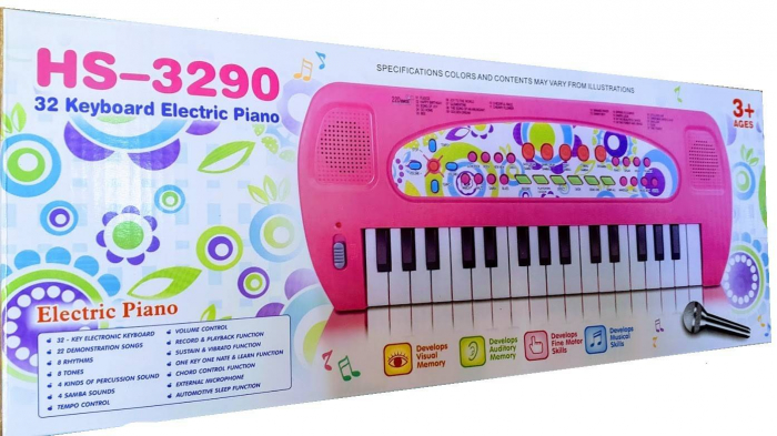 orga muzicala cu microfon [2]