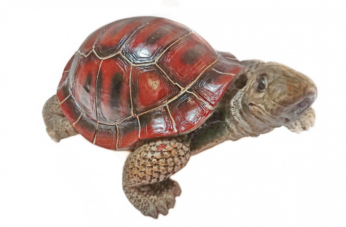 ornament din rasina pictat manual , decoratiune pentru gradina, terasa, gazon, broasca testoasa in marime naturala [2]