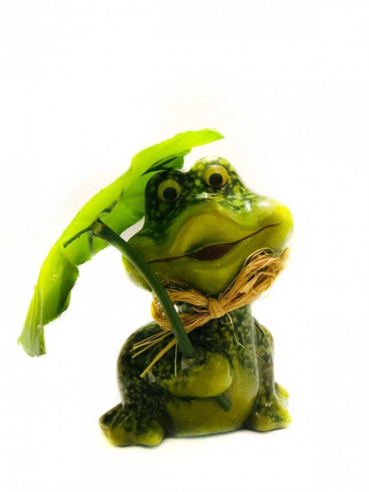 Ornament rasina - Broscoiul fermecat ,11 cm [2]