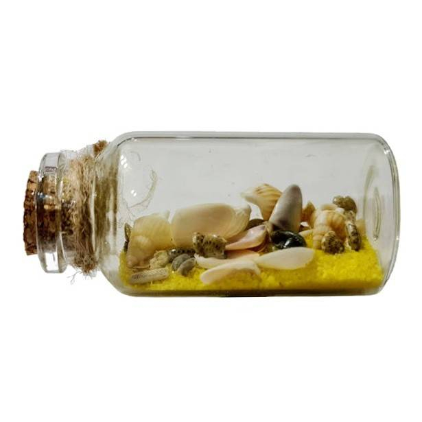 Decoratiune magnetica, sticla cu scoici si nisip, 6 cm [2]