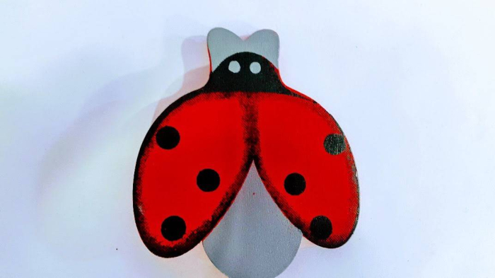 set 12 buburuze pe bat [2]