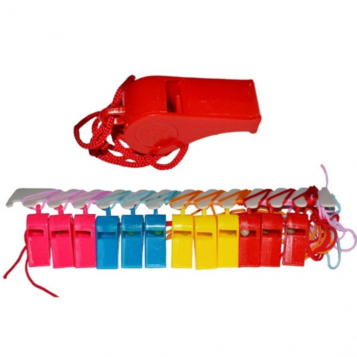 Set 24 fluiere plastic [2]