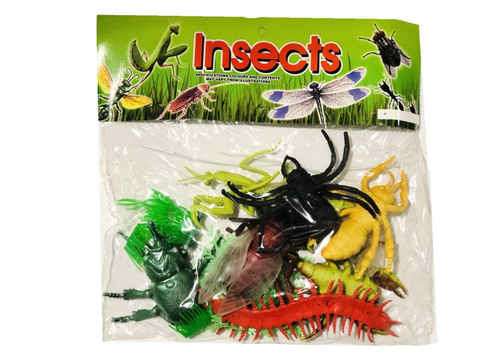 Set 7 insecte [2]