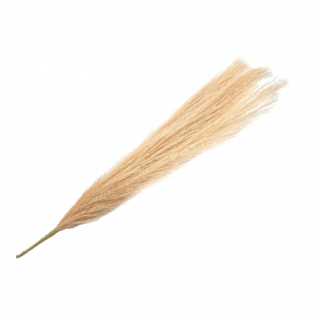 Flori artificiale - flori artificiale, pampas, buchet 5 fire, 45 cm