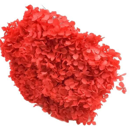 Flori naturale stabilizate - Flori naturale stabilizate, hortensie, rosu, 20 cm