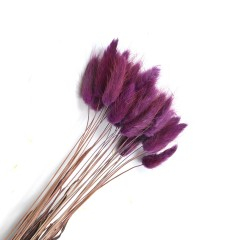 Flori naturale stabilizate - flori naturale stabilizate, lagurus, 50 fire, 60 cm, mov