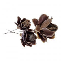 Flori naturale stabilizate - Flori naturale stabilizate, set 3 bucati, maro, 57 cm