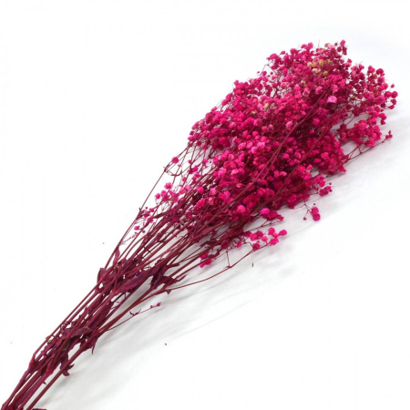 Flori naturale stabilizate - flori naturale stabilizate, gypsophila, 70 cm, ciclam