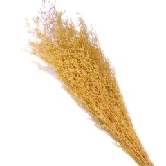 Flori naturale stabilizate - Flori naturale stabilizate, statica, 80 cm, natur