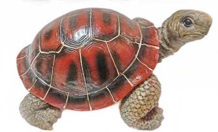 Gradina - ornament din rasina pictat manual , decoratiune pentru gradina, terasa, gazon, broasca testoasa in marime naturala