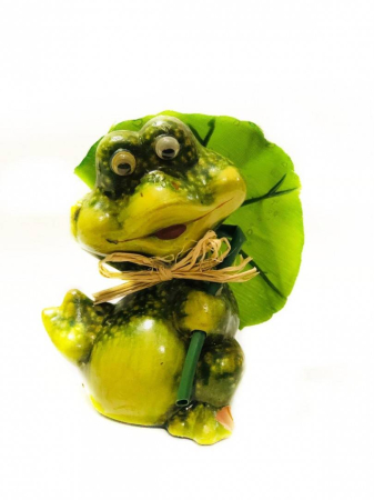 Gradina - Ornament rasina - Broscoiul fermecat ,11 cm