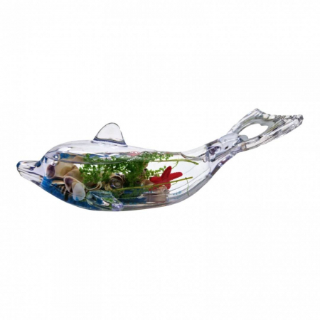 Produse Sezon - Decoratiune marina magnetica, peste transparent cu scoici, 16 cm