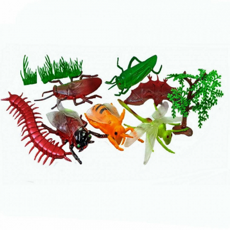 Animale - Set 7 insecte