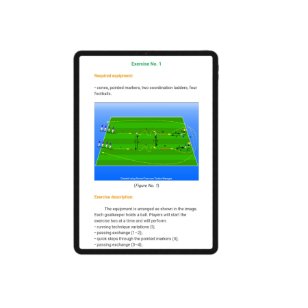 Elite football coach bundle [5]