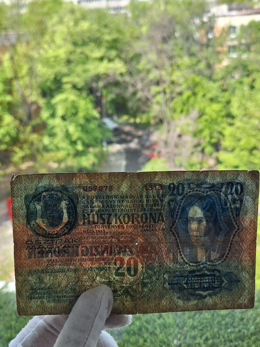 Austro-Ungaria, 20 coroane 1913, circulata [3]