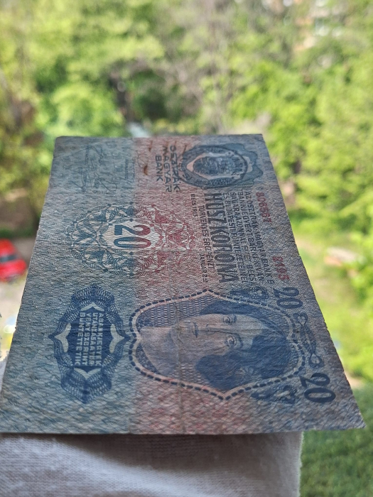 Austro-Ungaria, 20 coroane 1913, circulata [4]