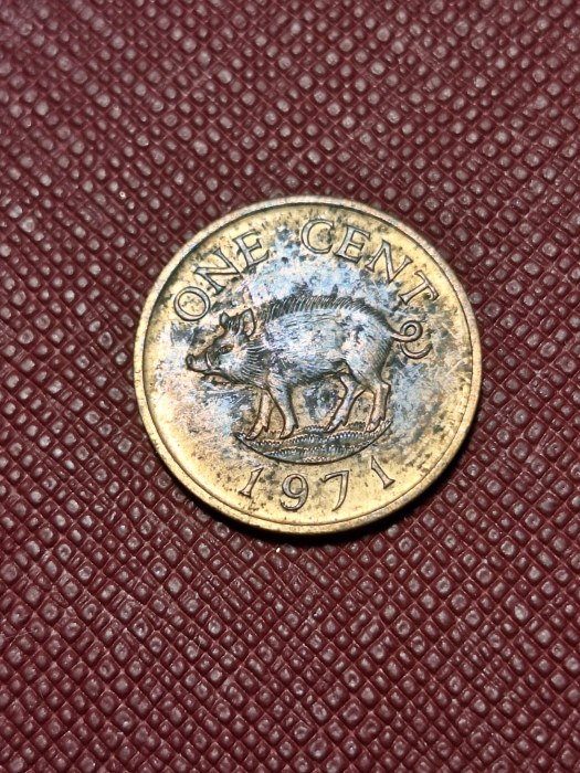 Bermuda 1 cent 1971 [1]
