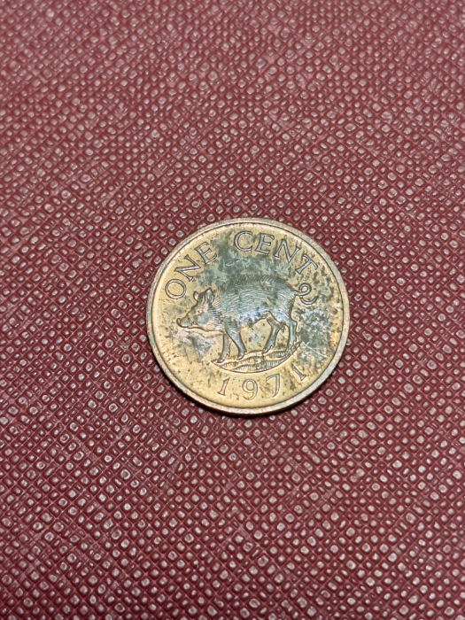 Bermuda 1 cent 1971 [1]