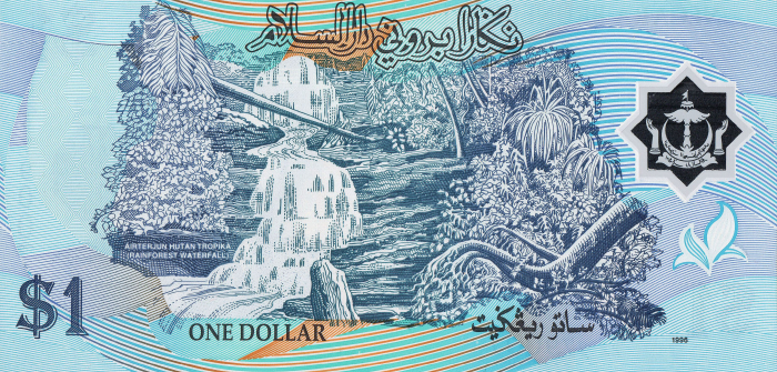 BRUNEI 1 Dolar 1996, polimer, necirculata [2]
