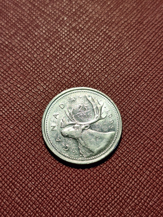 Canada 25 centi 1995, Regina Elisabeta II [2]