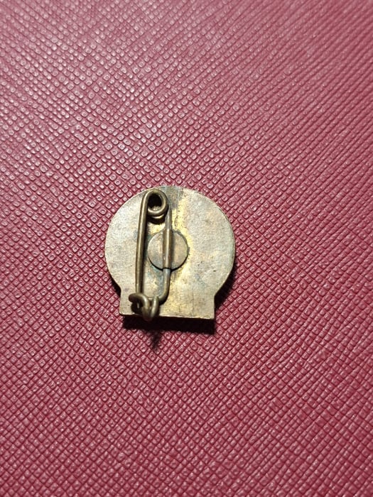 INSIGNA FMTD - Tineri uniti-va inainte pentru pace [2]