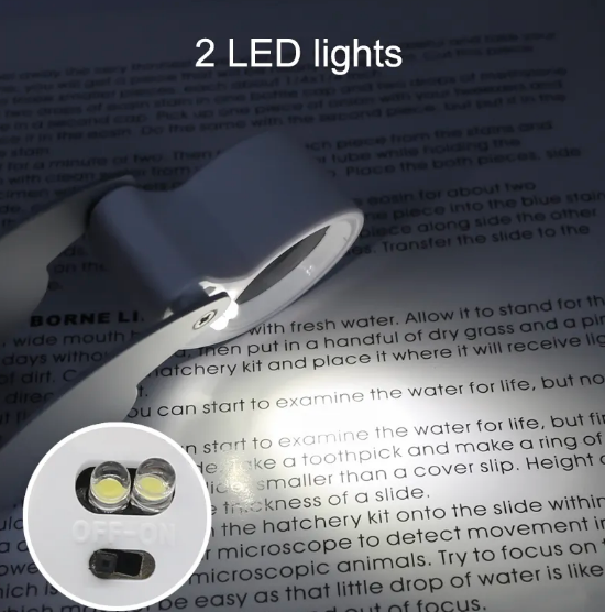Lupa profesionala pentru monede / bancnote / timbre 40 x 25 mm, Led si baterii incluse [2]