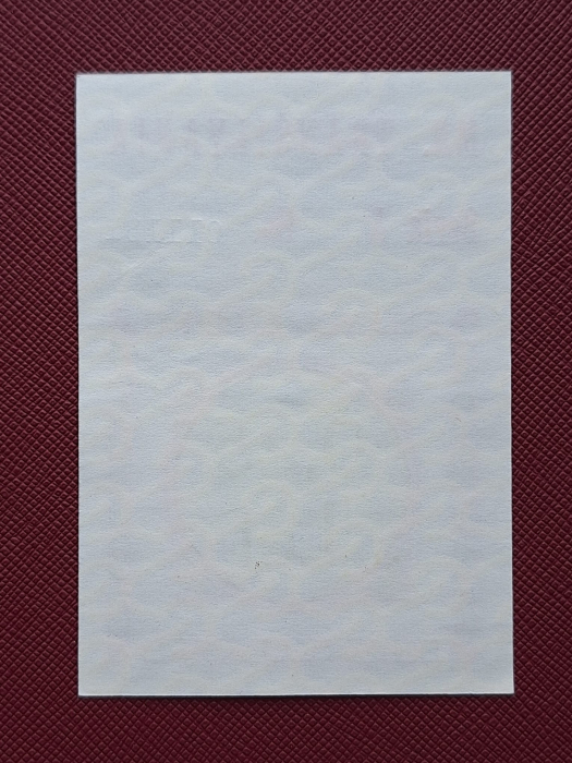Navrom Transilvania tichet 0,25 Lei, Seria A 011181, rar [2]
