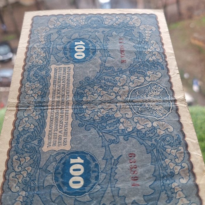 Polonia 100 marek 1919, circulata [5]