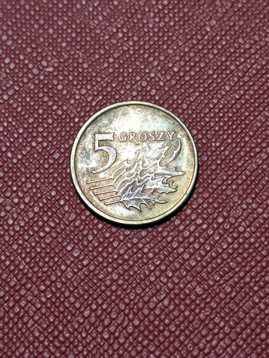 Polonia 5 groszy 1998 [2]