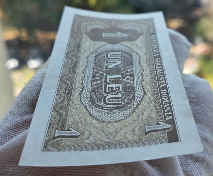 Romania 1 leu 1966, seria A.0029/697815, necirculata [5]