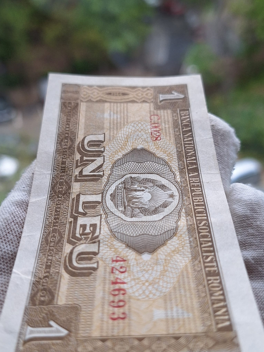 Romania 1 leu 1966, seria C.0028/424693, circulata, stare buna [7]