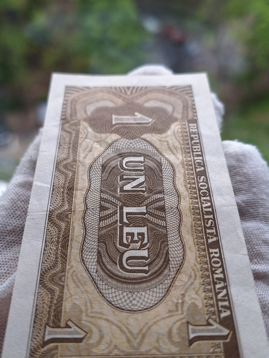 Romania 1 leu 1966, seria C.0028/424693, circulata, stare buna [5]