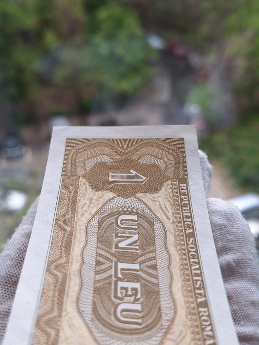 Romania 1 leu 1966, seria D.0031/118500, UNC- [5]